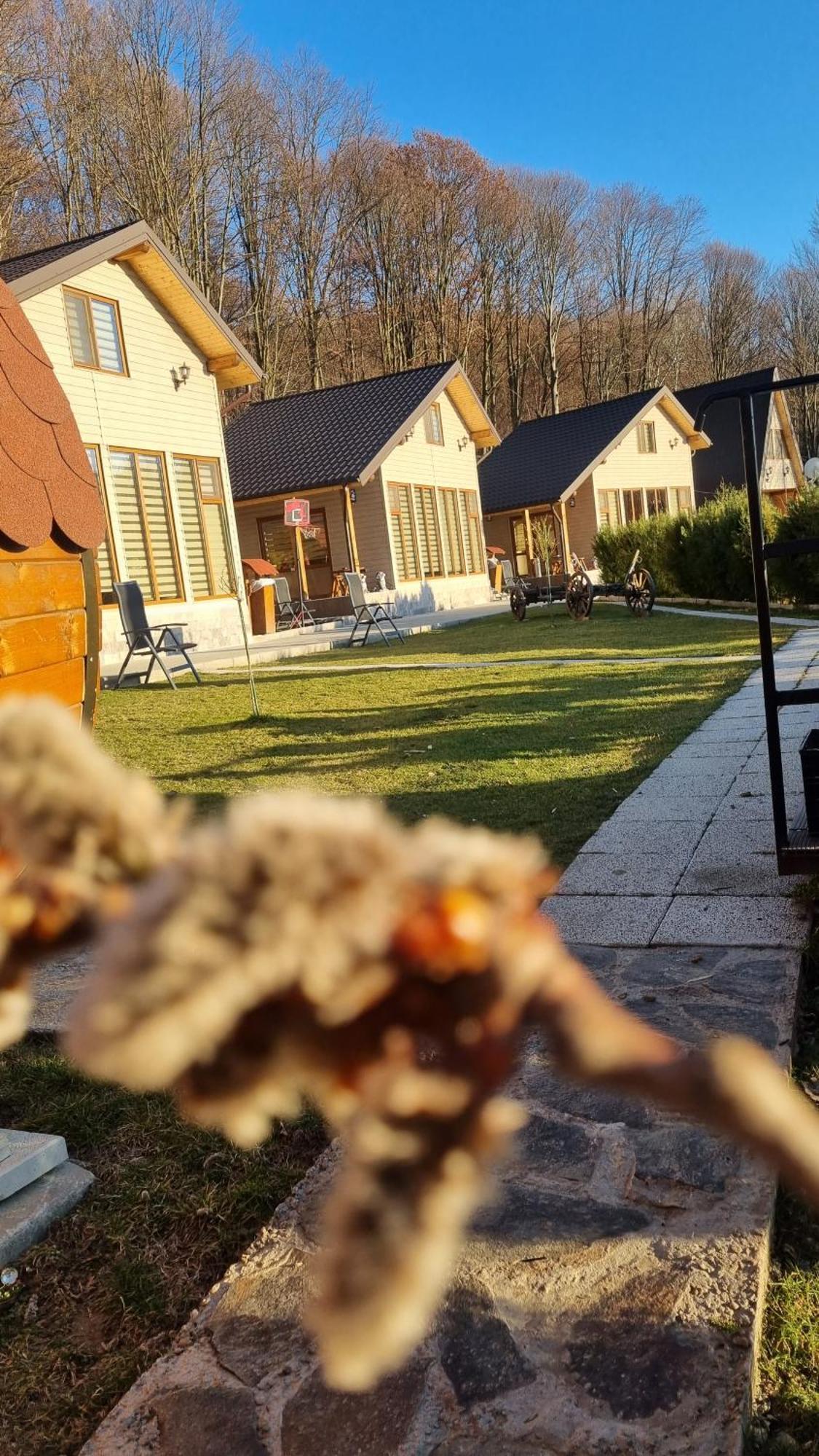 La Maria Si Ioana Lägenhet Curtea de Argeş Exteriör bild